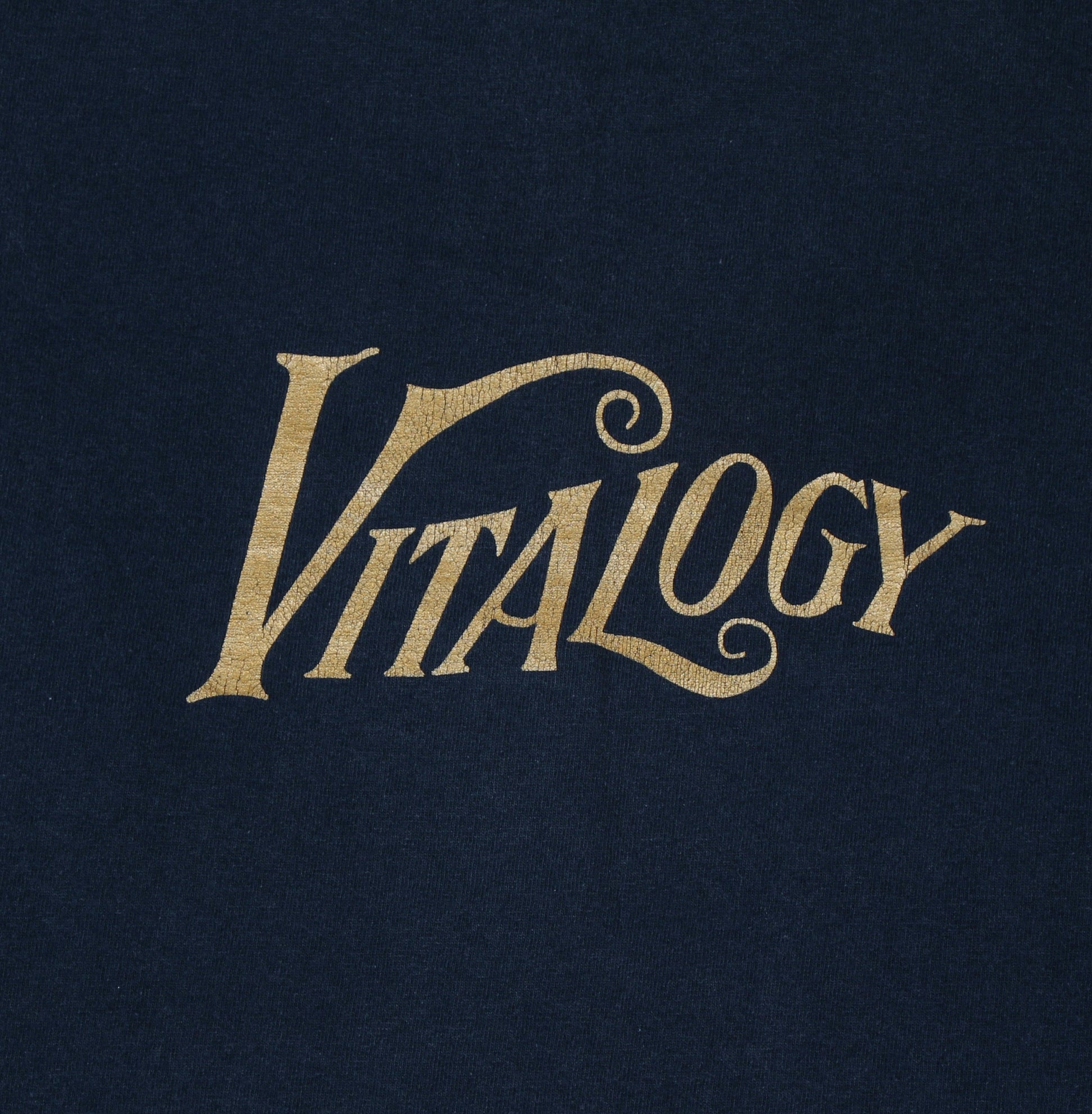 pearl jam vitalogy 1994 vintage longsleeve xl